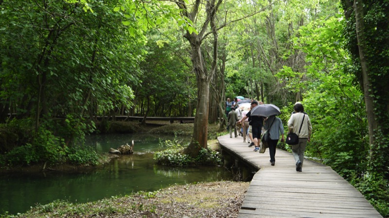 Well-maintained footpaths allow visitors to easily wind their way through Croatia’s Krka National Park. Photo credit: Martin Klimenta