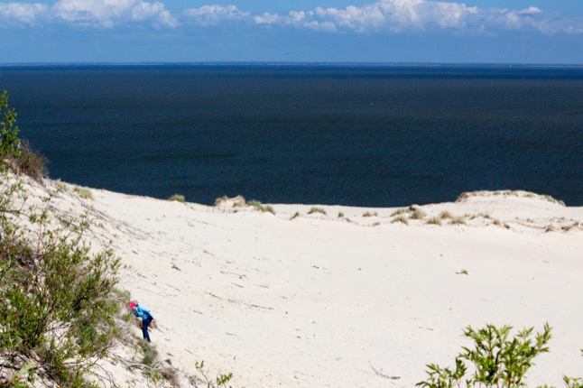White sand and blue sea on Lithuania’s Curonian Spit. Photo credit: Kestutis Ambrozaitis