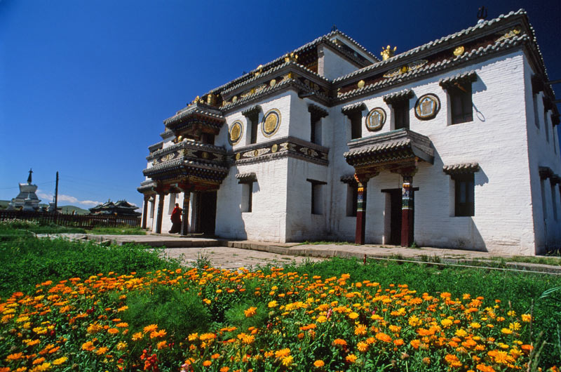 Flowers bloom at Erdene Zuu in Kara Korum, Mongolia. Photo credit: Peter Guttman