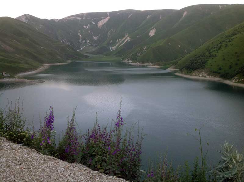 Wildflowers line the shore of Lake Kezenoy-am in Chechnya. Photo credit: Michel Behar