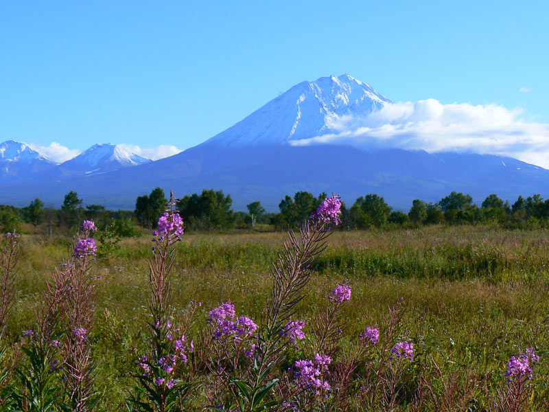 One of several soaring volcanoes on Siberia’s remote Kamchatka Peninsula. Photo credit: Martin Klimenta