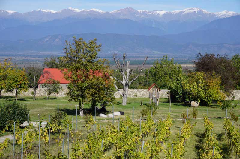 Schuchmann Winery in Telavi, Georgia. Photo: Jake Smith