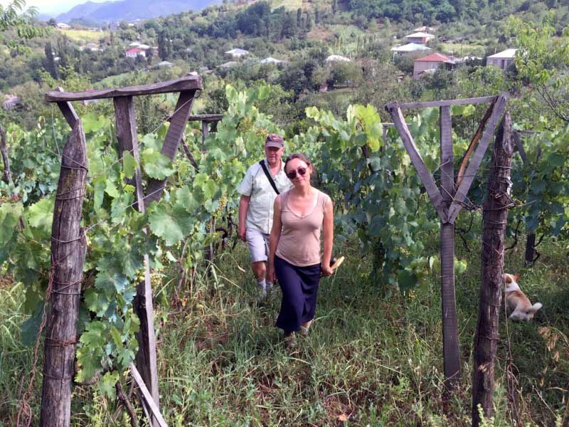 Vineyards in Imereti, Georgia. Photo: John Wurdeman