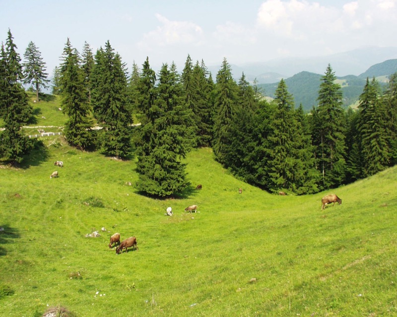 Bulgaria's rugged countryside