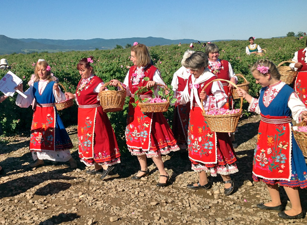 Break time: Rose pickers demonstrate a Bulgarian song and dance in this field of Kazanlashka roses. Photo credit: Michel Behar